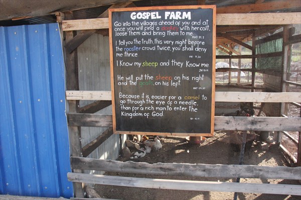 270-Библейская ферма